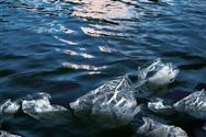 新研究显示，泡沫吸管在海洋中降解更快