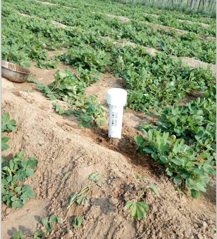 潍坊TDR土壤水分测量仪