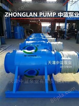 雪橇式潜水轴流泵天津中蓝泵业